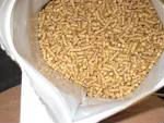  wheat   meal 