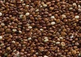 Red Quinoa Grain