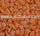 lentil,Food Red Wheat, YELLOW CORN, SOYA BEANS MEAL, FEED BARLEY,Horse Feed Hay,Wheat Bran
