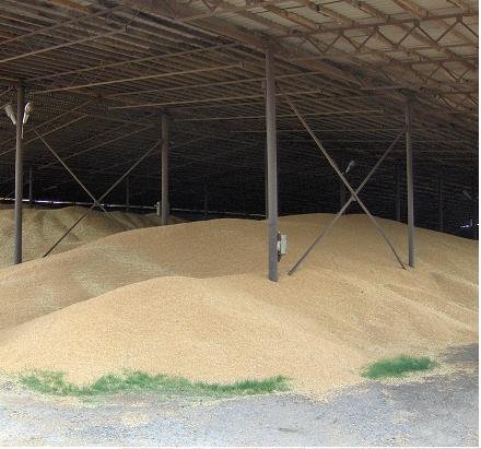 500,000 MT of soft  Russian   Milling   Wheat , 3 class available right now