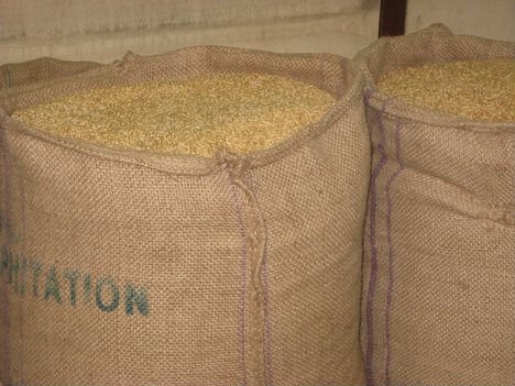 CLEAN GRADE  A   WHEAT  GRAINS FOR SALE