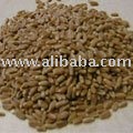TOP QUALITY WHEAT