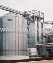 Wheat Bran
