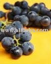 Red-White GRAPE Juice Concentrate