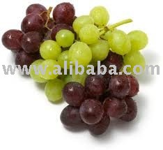 Red-White GRAPE Concentrated Juice