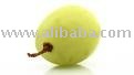 White Grape CONCENTRATE