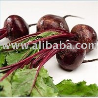 RED BEET  Concentrated Juice