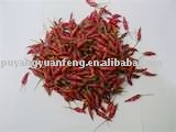 dry red chilli