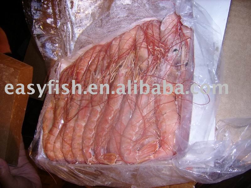 Frozen red shrimp