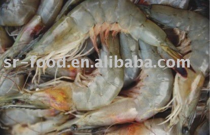 fresh shrimp