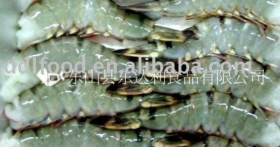 Frozen white shrimp (cutted tentacle)