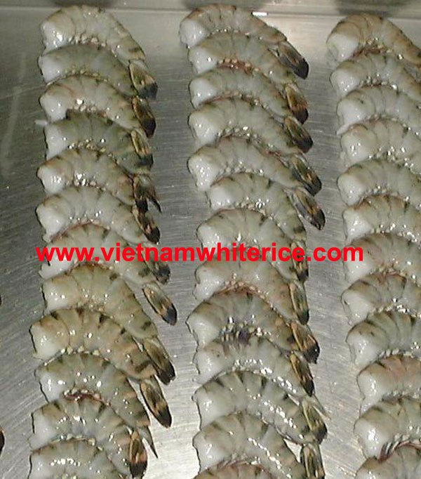 Frozen Hlso Black Tiger Shrimp ( Headless Shell On),vietnam Sona 