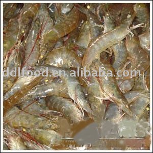 frozen vannamei shrimp