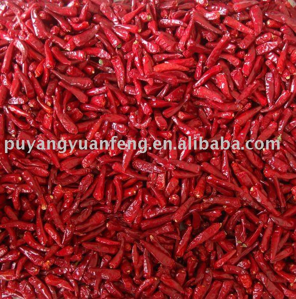 dry small red chilli