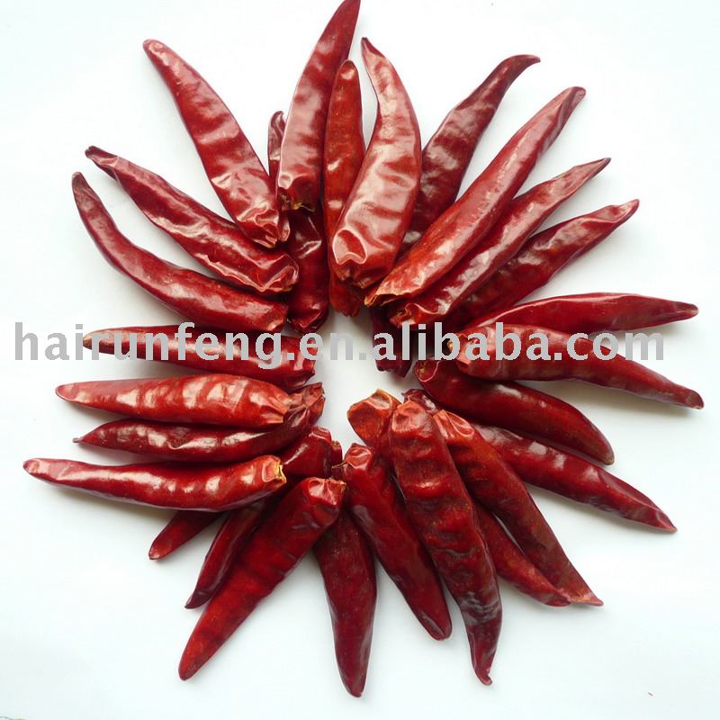 Small Hot Chilli