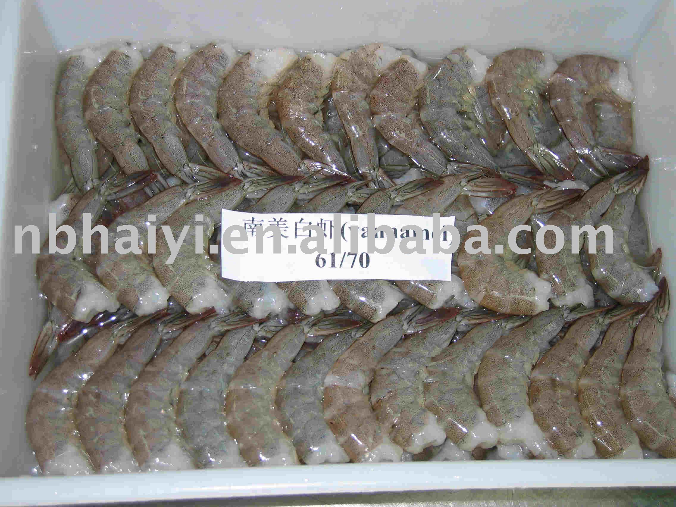  frozen   shrimp ( vannamei )
