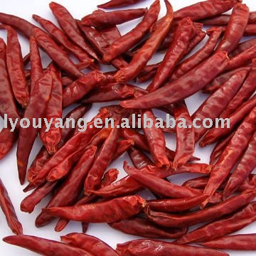 dried red chili without stems