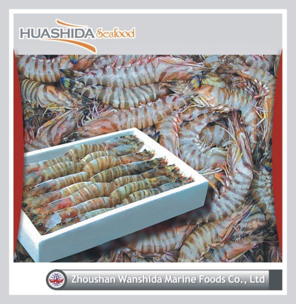 shrimp
