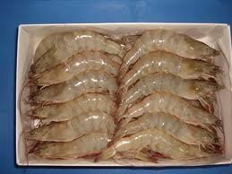 Frozen and live vennamei shrimp
