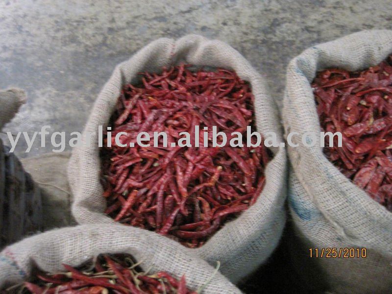 2010 dried chilli of China(YYF)