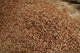 quality shrimp shell now ready for sale