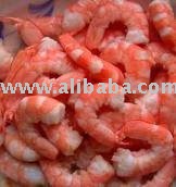 shrimp
