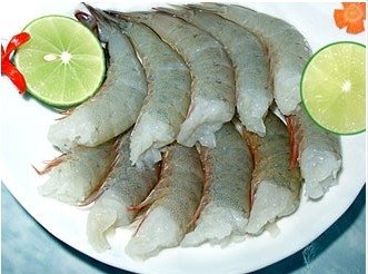 FROZEN SHRIMP
