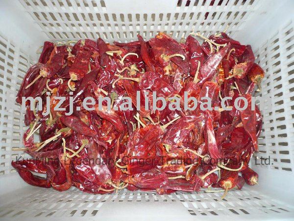 Dried red chili