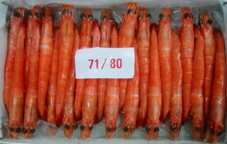 Vannamei  Head -On  Shrimp 