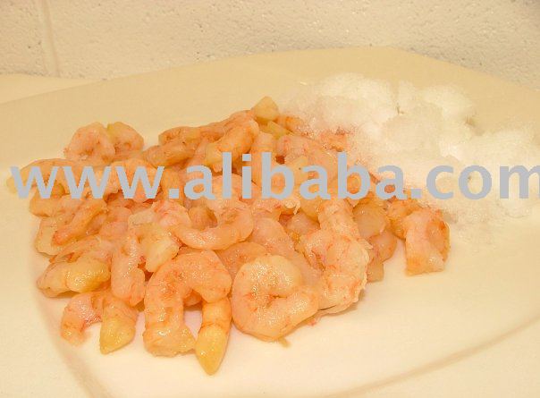 Shrimp