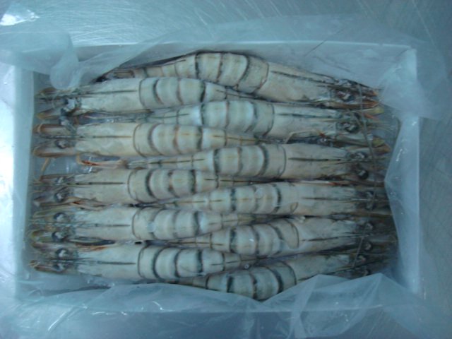 Hoso Black Tiger Shrimp