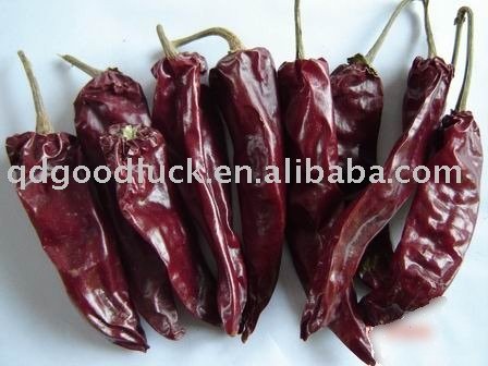 Handpicked new crop yidu chilli, yidu chili, yidu paprika.