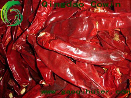 dry red chilli