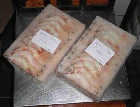  Frozen   Head  On White Shrimps