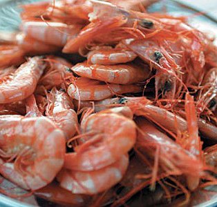 Prawns