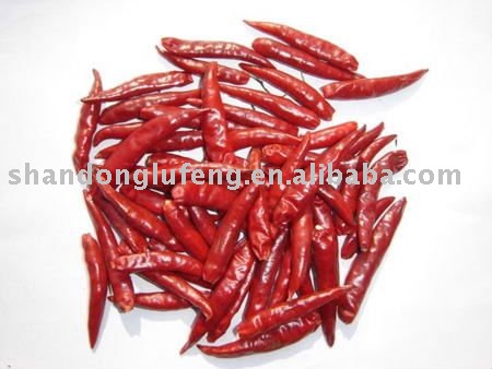  dry   red   chili 