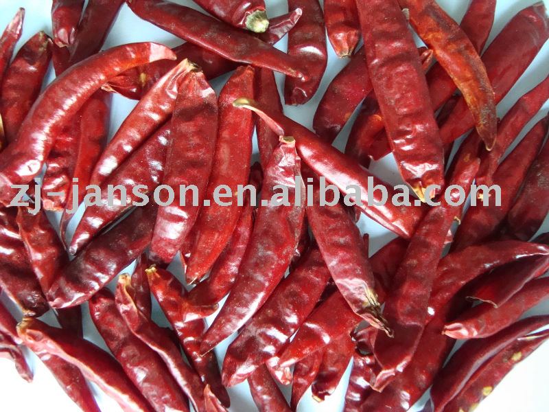  Tianjin  Small Chilli