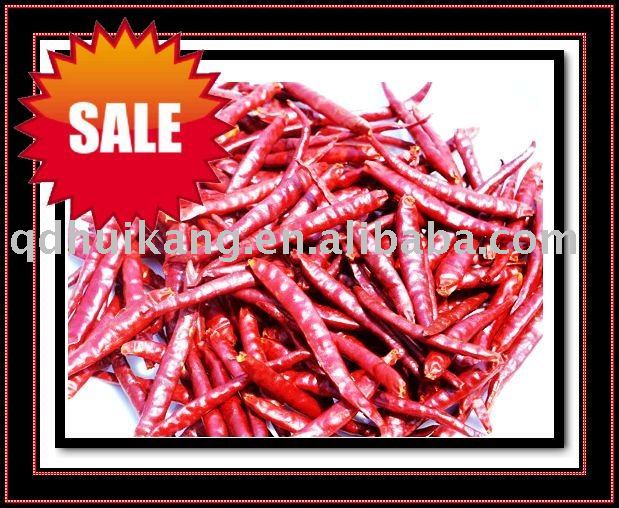 Fresh dry chili   paprika
