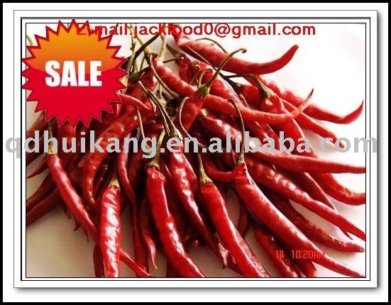 fresh hot dry chilli paprika pepper