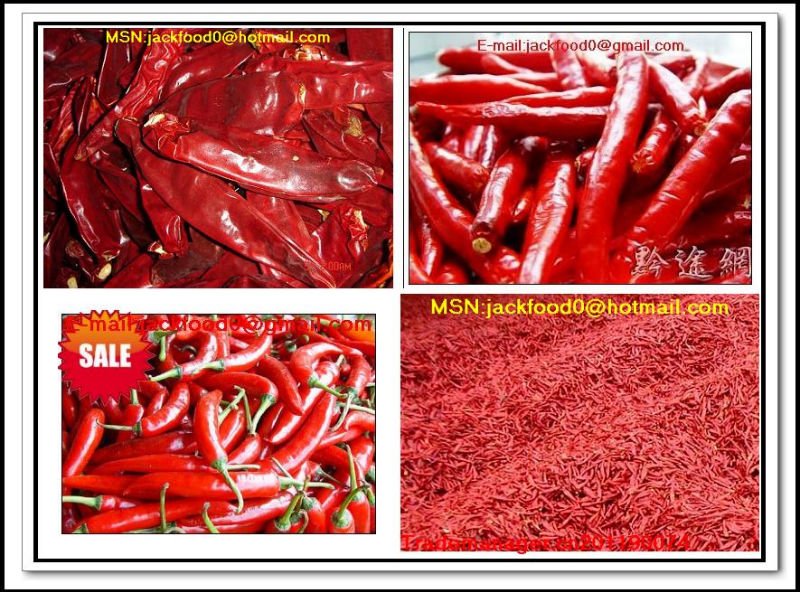 Delicious fresh red hot dry chili paprika pepper