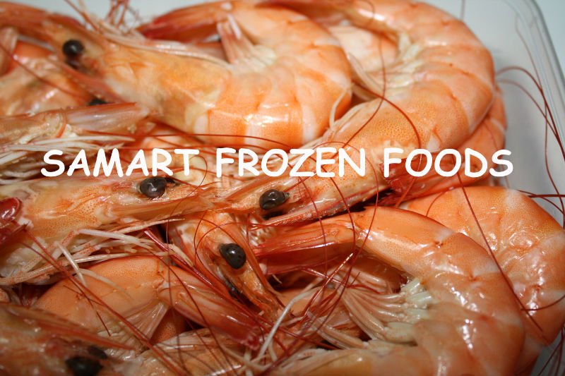  Frozen   Cooked   Vannamei  Shrimps