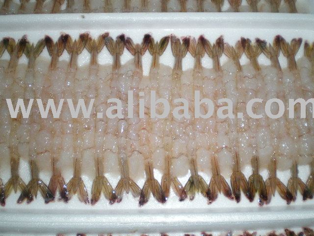 Frozen Vanamei Shrimp