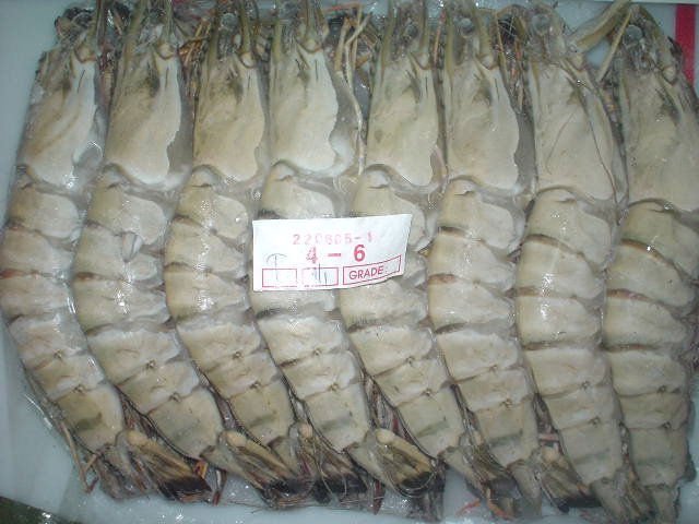 FROZEN BLACK TIGER  HOSO   SHRIMP 