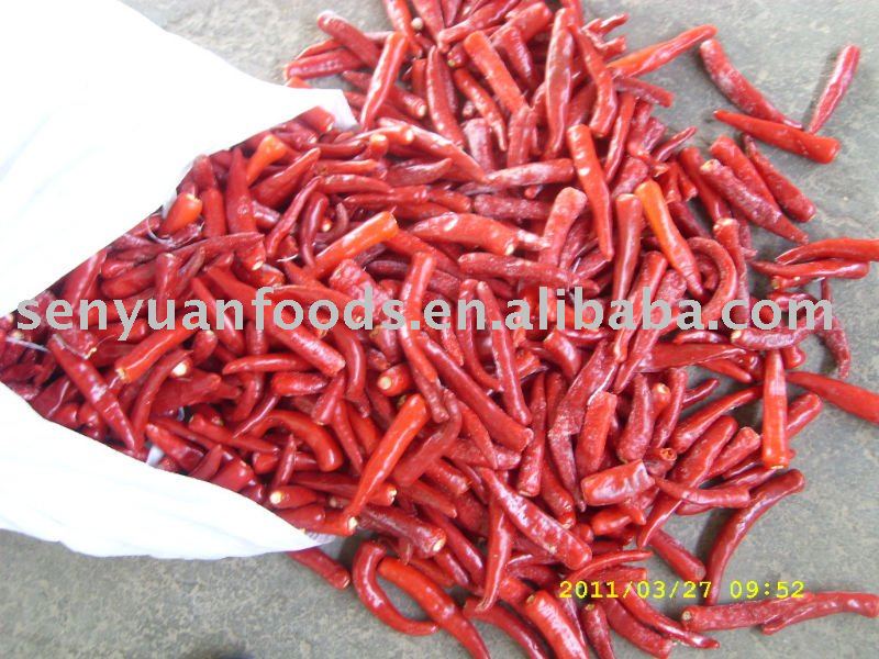 2011 red small chili