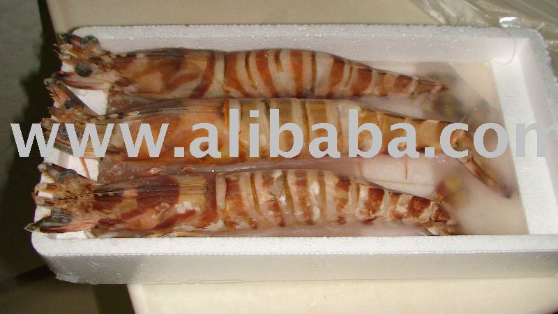 wild caught Prawn ( Penaeus (Marsupenaeus) Japonicus Bate )