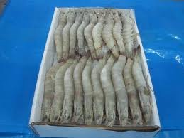 fresh and frozen shrimps(Black tiger,prawn, vannamei  and white shrimps)