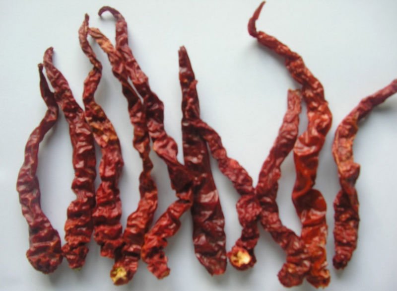 red dried string chilli