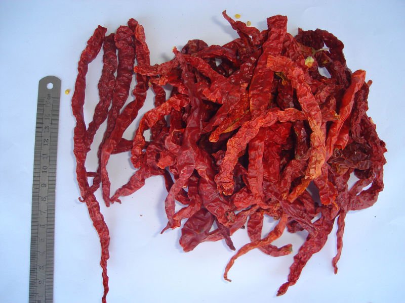 red string chilli