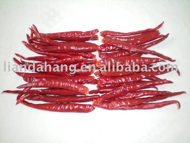 chile de  arbol ,  chilli  de  arbol , chili de  arbol 