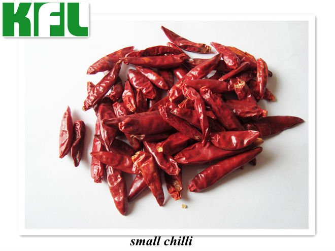  Small  Chilli